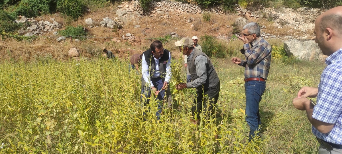 Üreticiye sağlanan tohum desteği verimi artırdı