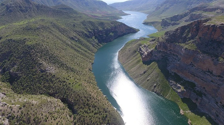 Botan &Ccedil;ayı İ&ccedil;in Kritik Uyarı: 10 Şubat&ndash;30 Haziran Arasına Dikkat