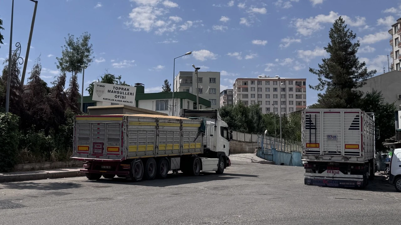 Garzan Ovası'nda hasat s&uuml;r&uuml;yor, &ccedil;ift&ccedil;iler buğdayını randevuyla teslim ediyor