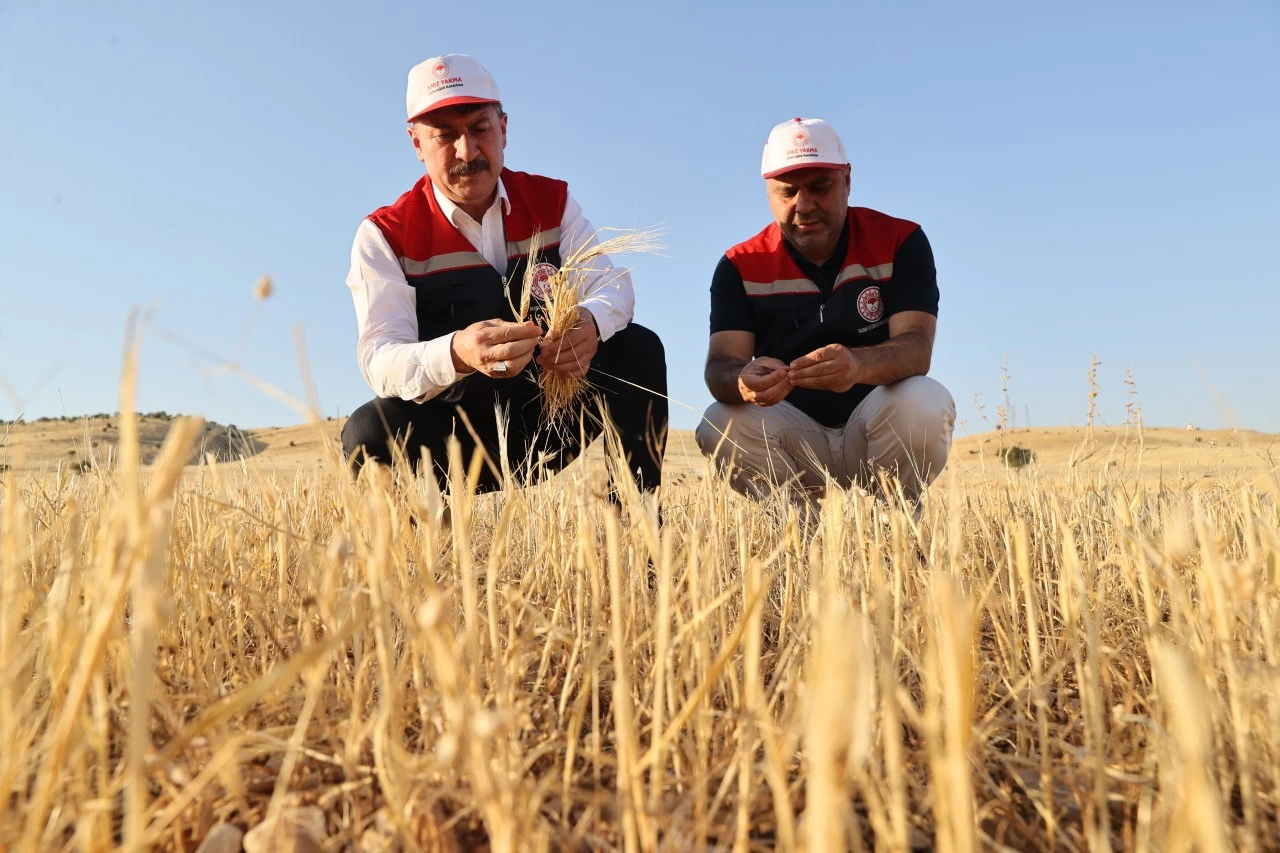 G&uuml;neydoğu'da anız yangınlarıyla m&uuml;cadele sonu&ccedil; veriyor