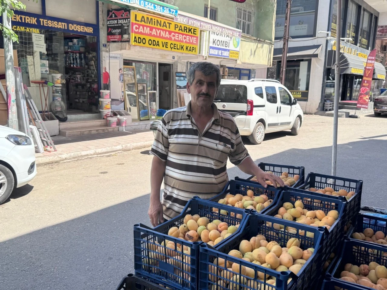 Iğdır'da yetişiyor, Siirt'te yoğun ilgi g&ouml;r&uuml;yor