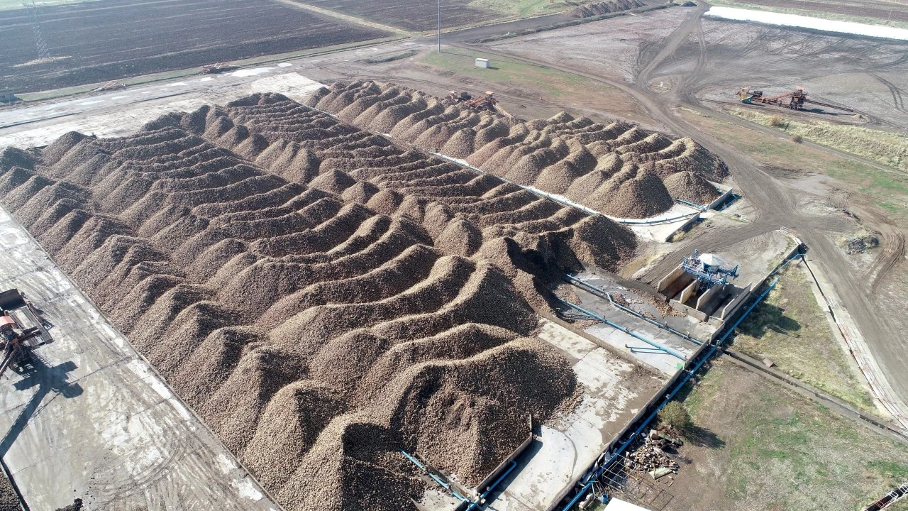 Muş ve Van'daki fabrikalarda 76 bin 10 ton şeker üretimi hedefleniyor