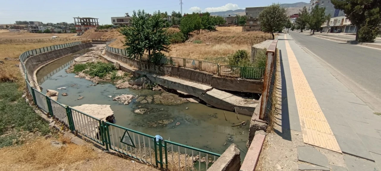 Kurtalan'da S&uuml;mer Deresi'ndeki Koku Mahalleliyi İsyan Ettirdi