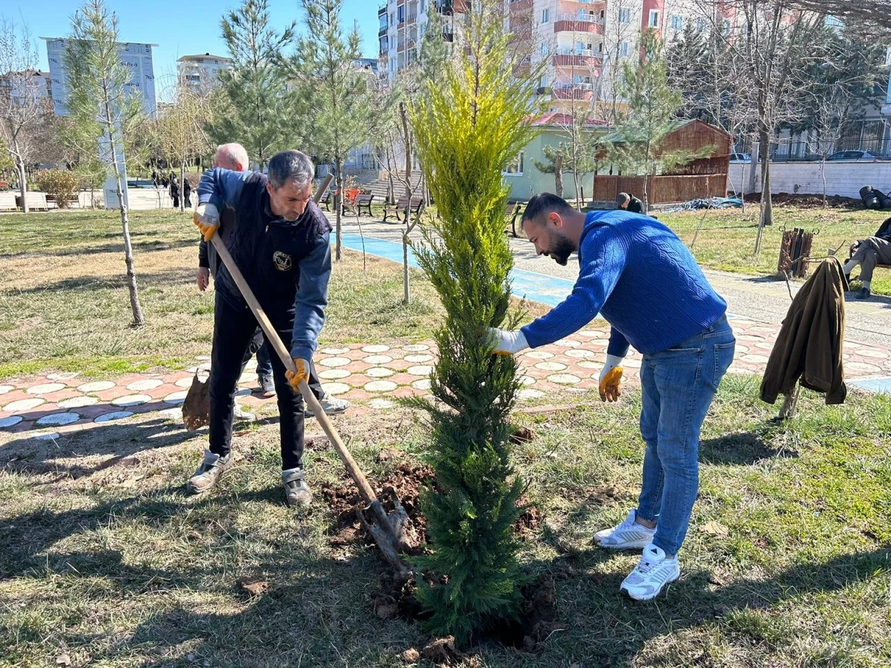 Kurtalan&rsquo;da Parklar S&uuml;s Bitkileri ve Ağa&ccedil;larla Renklendiriliyor