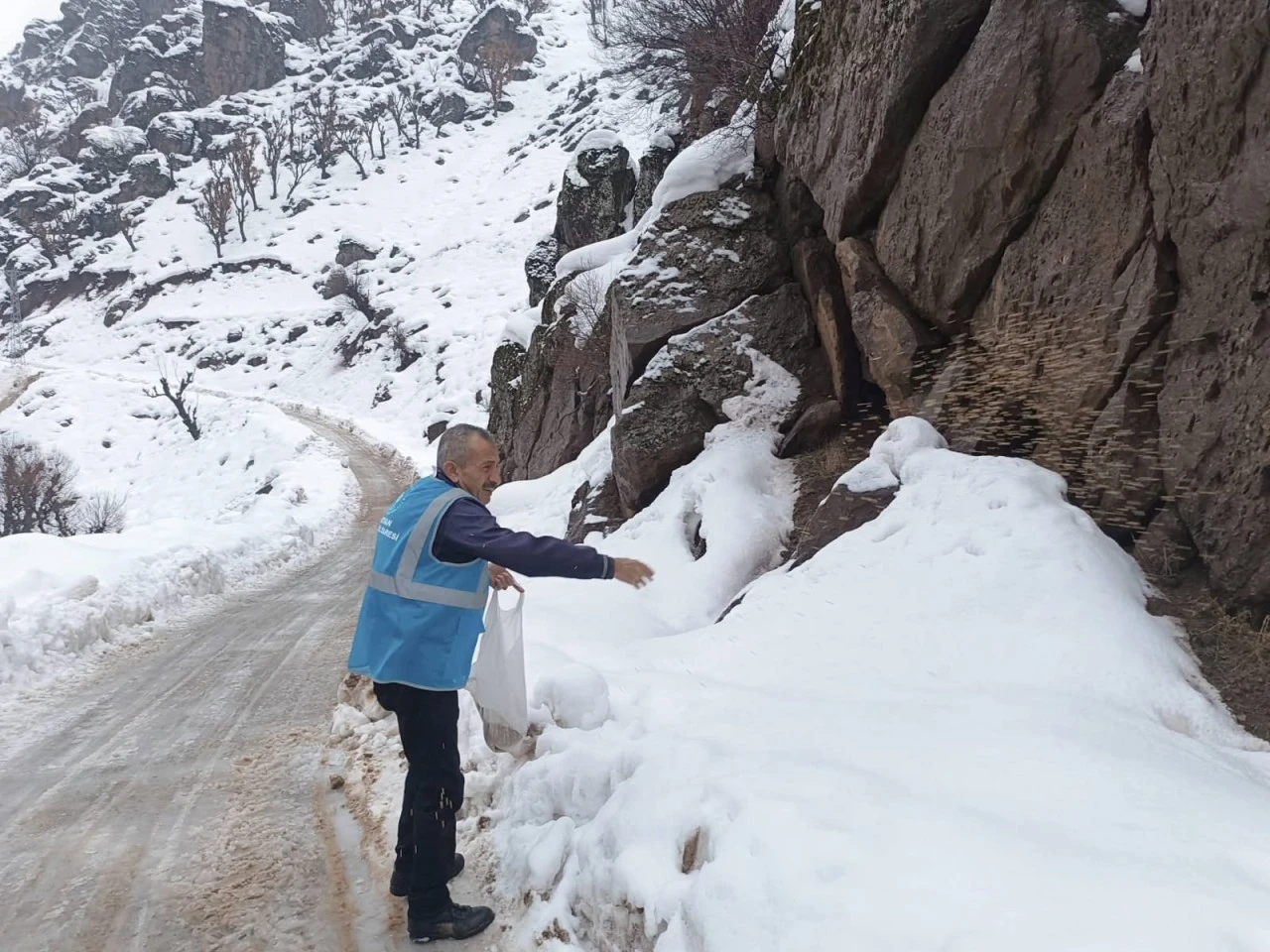 Sason'da yaban hayvanları i&ccedil;in doğaya yem bırakıldı