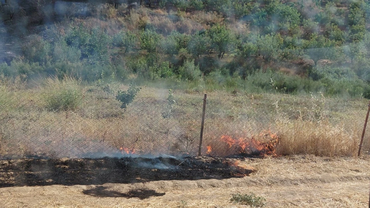 Siirt Kurtalan&rsquo;da anız yangını meyve bah&ccedil;esine sı&ccedil;radı: 100 ağa&ccedil; zarar g&ouml;rd&uuml;