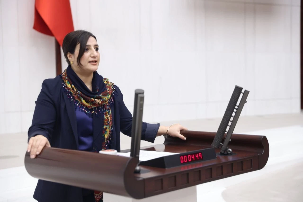 Siirt Milletvekili Sarıtaş&rsquo;tan Botan &Ccedil;ayı&rsquo;ndaki Balık &Ouml;l&uuml;mleri İ&ccedil;in TBMM&rsquo;de Soru &Ouml;nergesi