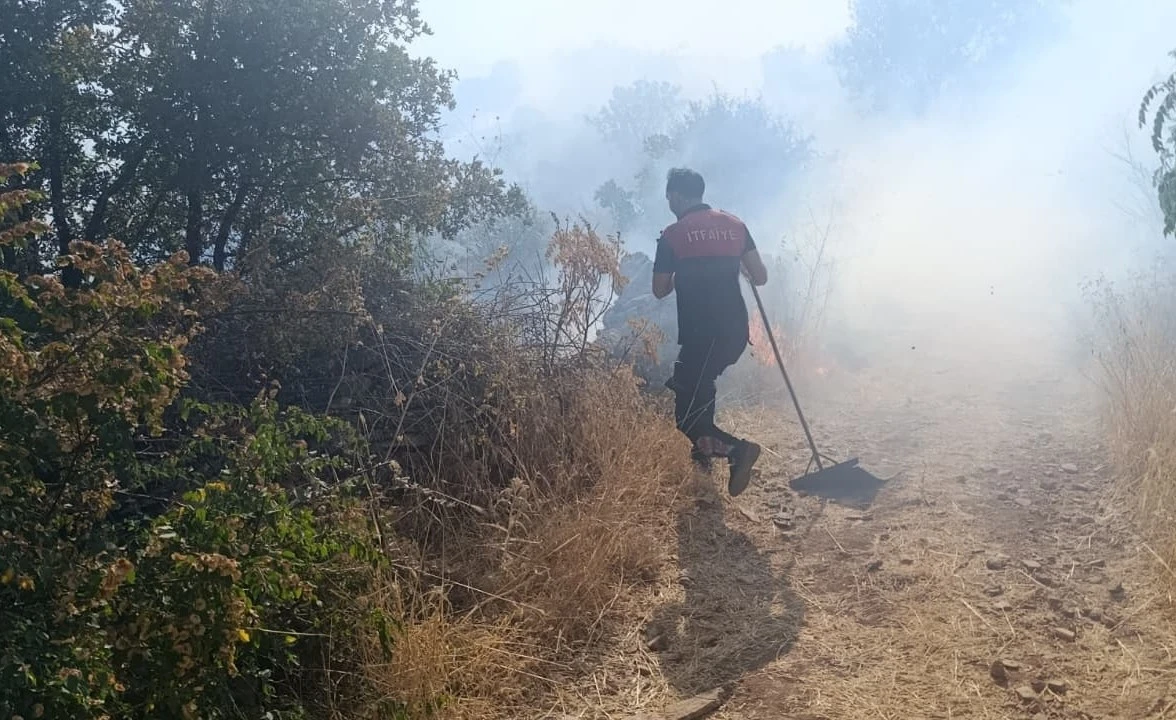 Siirt'te &ccedil;ıkan orman yangınına m&uuml;dahale ediliyor
