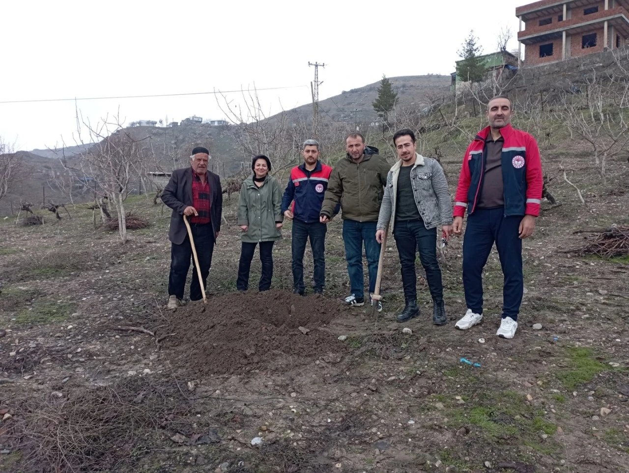 Siirt&rsquo;te Fıstık Bah&ccedil;elerinde Ağa&ccedil; Kurumalarına Karşı Teknik Destek ve &Ccedil;&ouml;z&uuml;m S&uuml;reci Başlatıldı