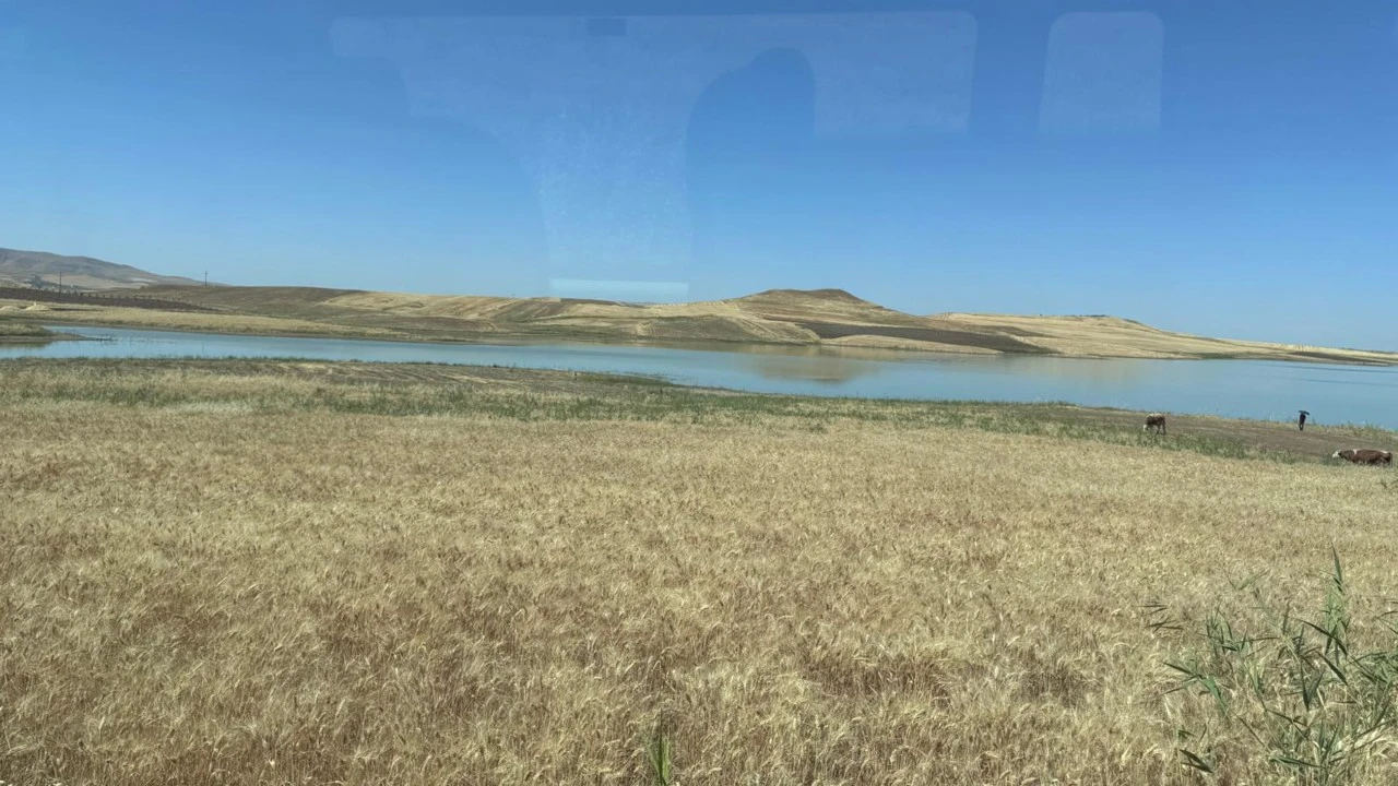 Siirt'te Ge&ccedil;en Yıl Kuruyan G&ouml;let Yeniden Canlandı