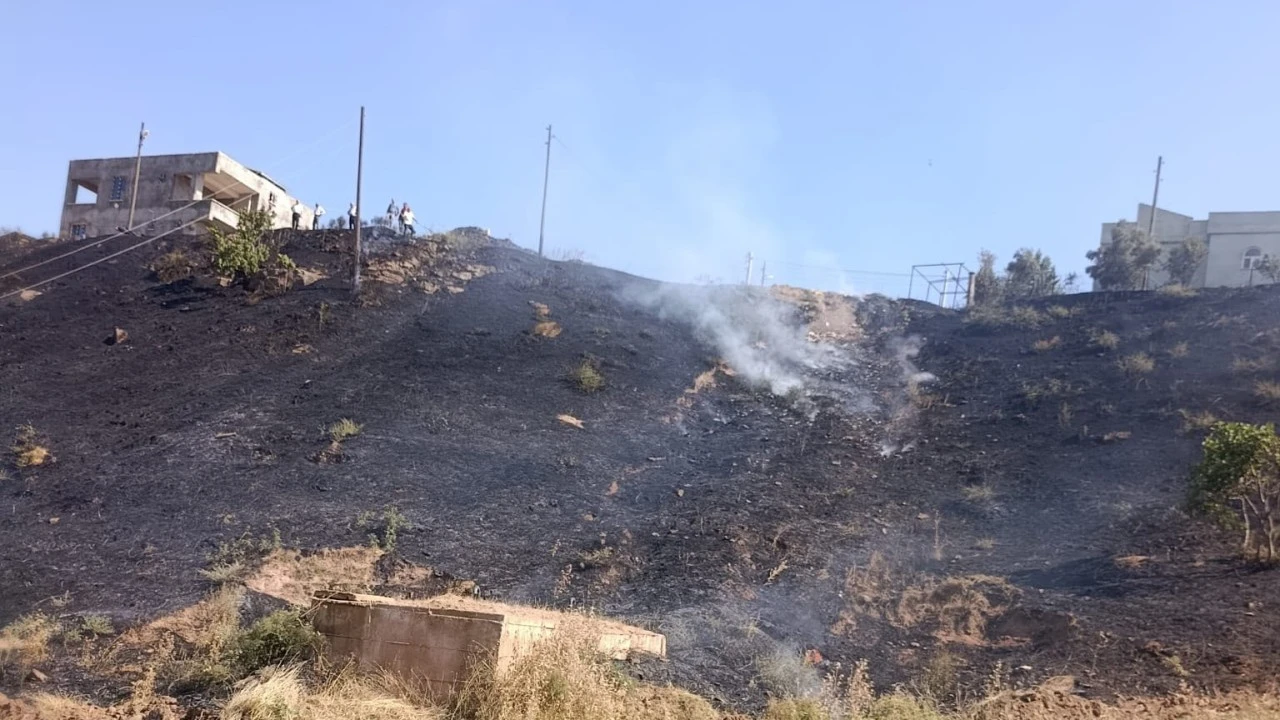 Siirt'te otluk alanda &ccedil;ıkan yangın evlere sı&ccedil;ramadan s&ouml;nd&uuml;r&uuml;ld&uuml;
