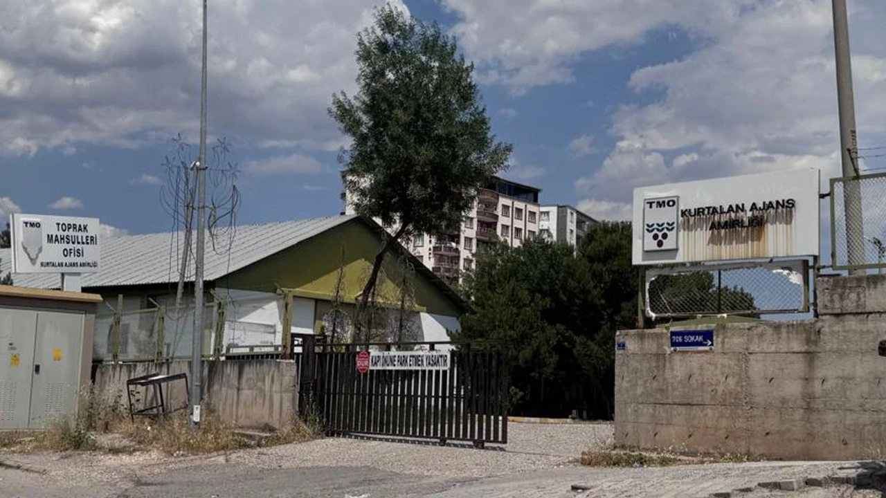 Siirt&rsquo;te TMO Hububat Alım Randevuları A&ccedil;ıldı