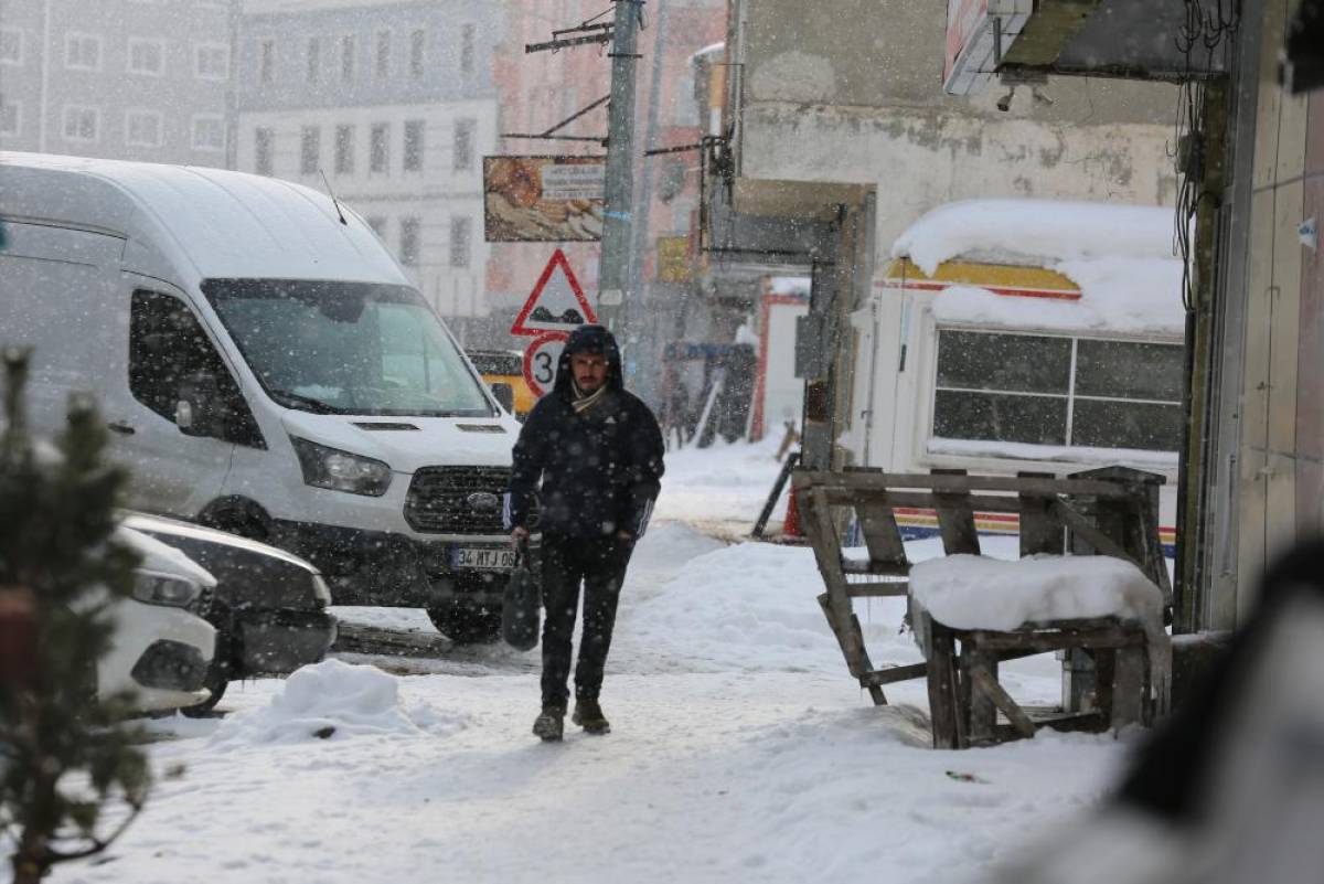 Ardahan ve Kars'ta kar yağışı etkili oldu
