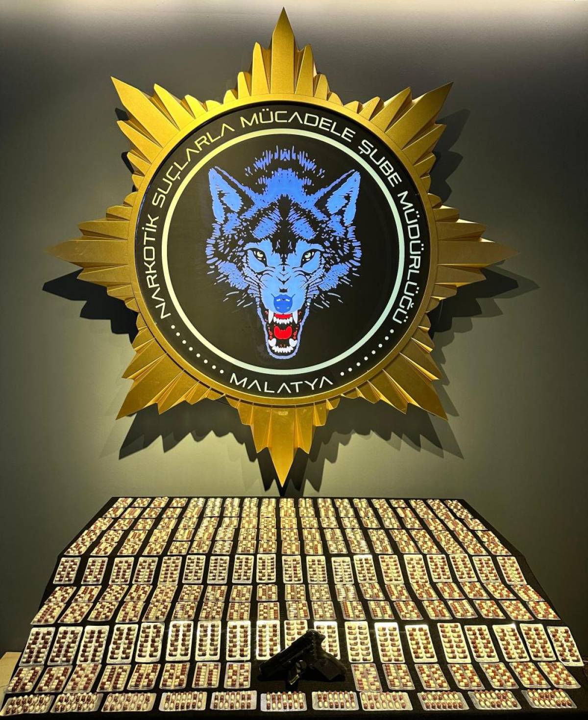 Malatya'da uyuşturucu operasyonunda 1 şüpheli tutuklandı