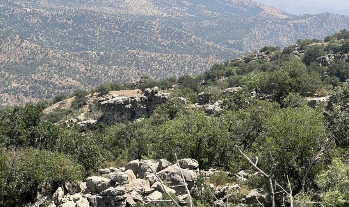 Şırnak'ta köy ve mezradaki 634 kişiye tapuları verildi