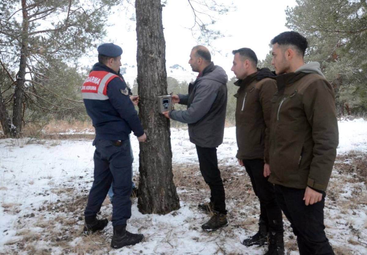Kars'ın ormanlarına yaban hayvanlarının takibi için fotokapanlar yerleştirildi
