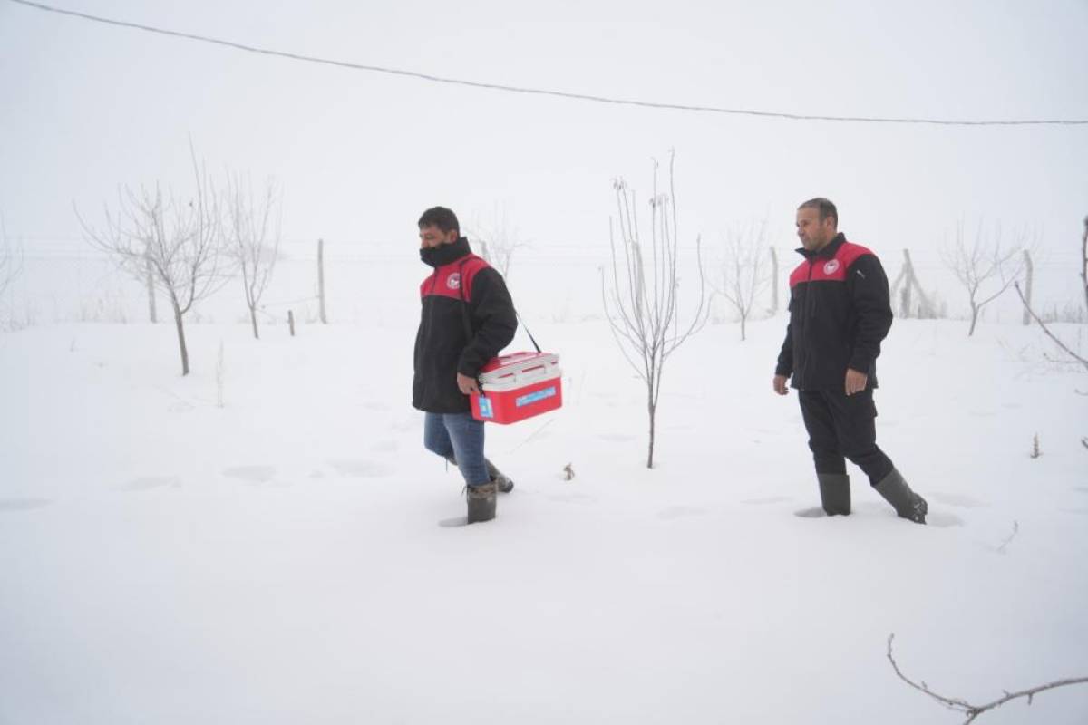 Muş'ta veteriner hekimler ağır kış koşullarında hayvanların aşılarını aksatmıyor