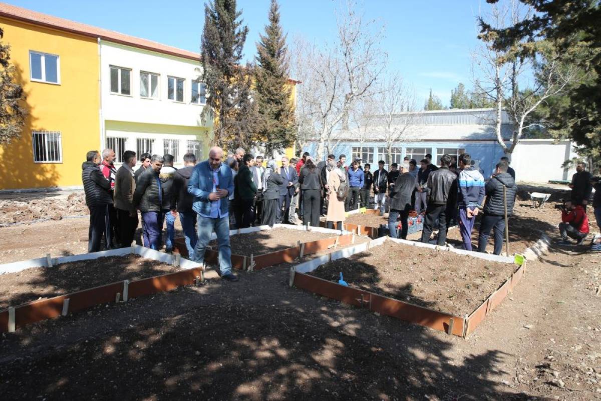 Adıyaman'da öğrenciler salep bitkisi yetiştirecek