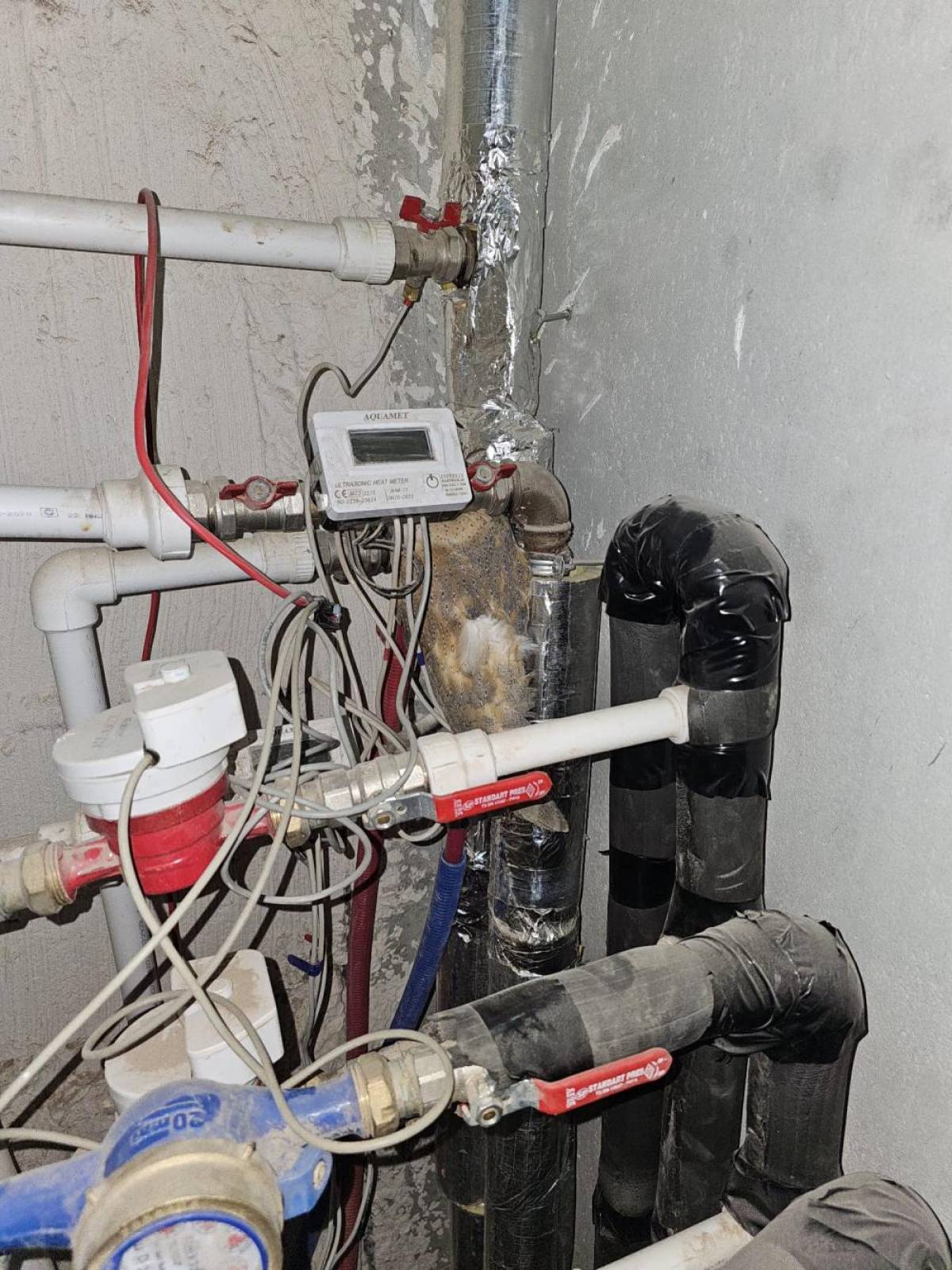 İslahiye'de sıkıştığı yerden kurtarılan peçeli baykuş koruma altına alındı