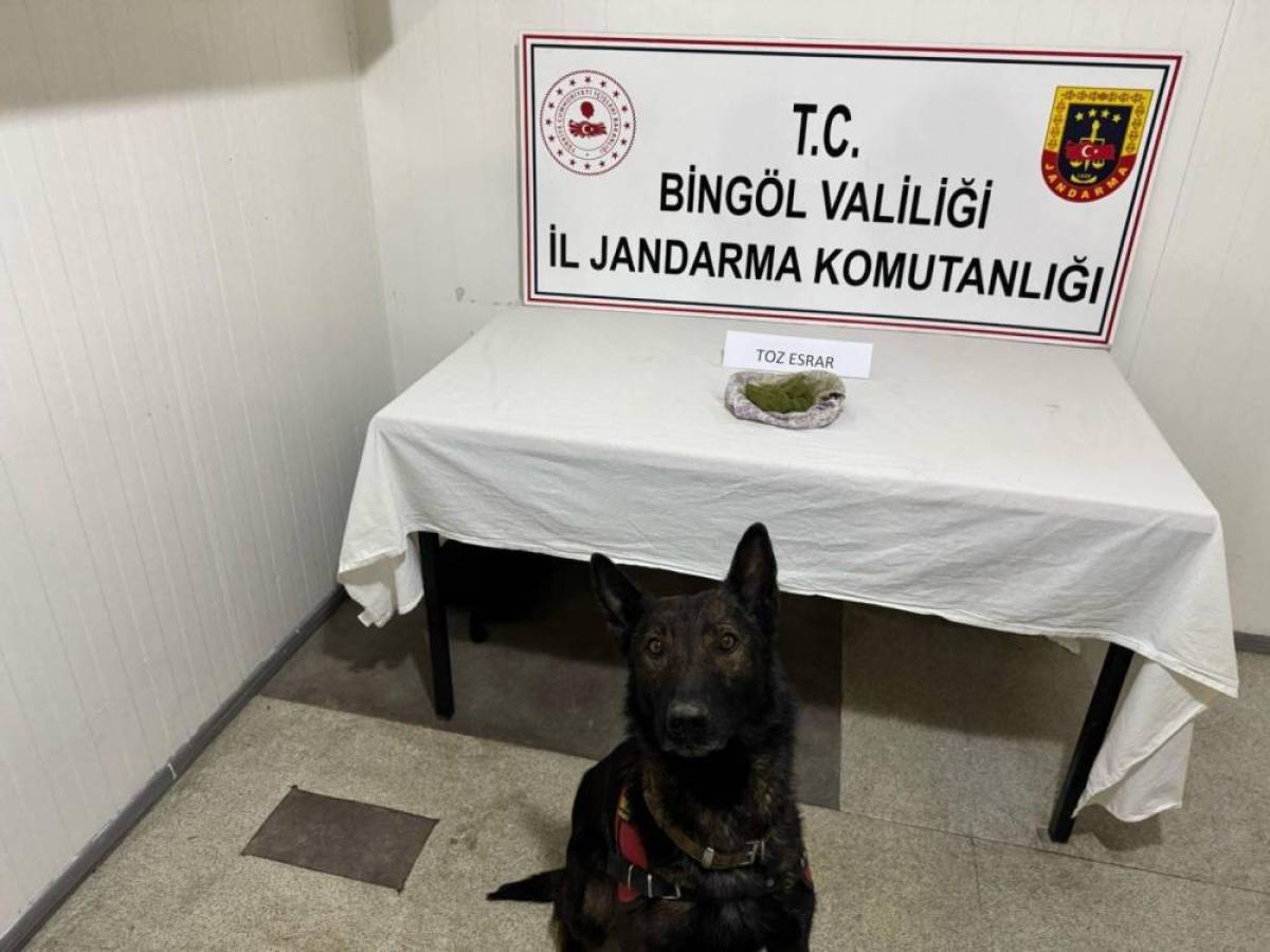 Bingöl'de araçtan yol kenarına uyuşturucu attığı iddia edilen 2 şüpheli yakalandı