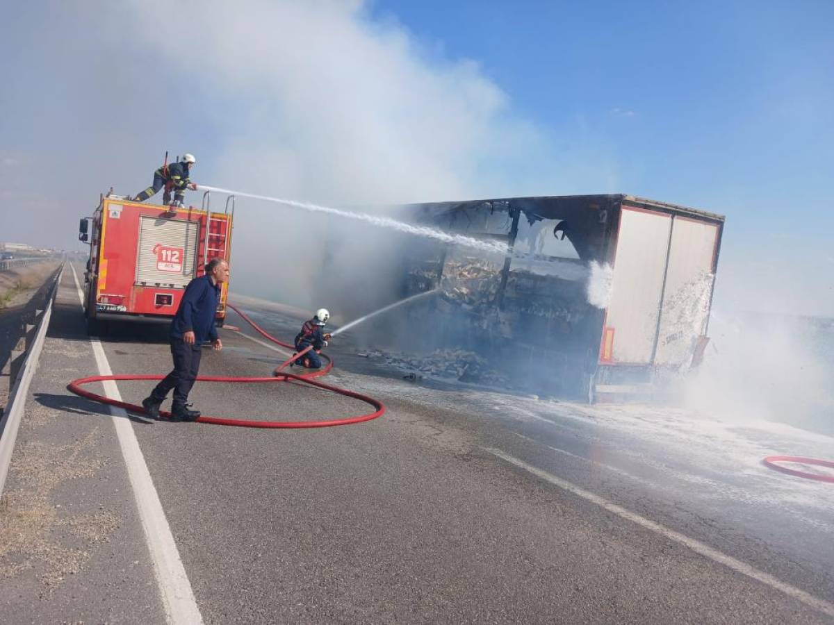 Mardin'de seyir halindeki tır alev aldı