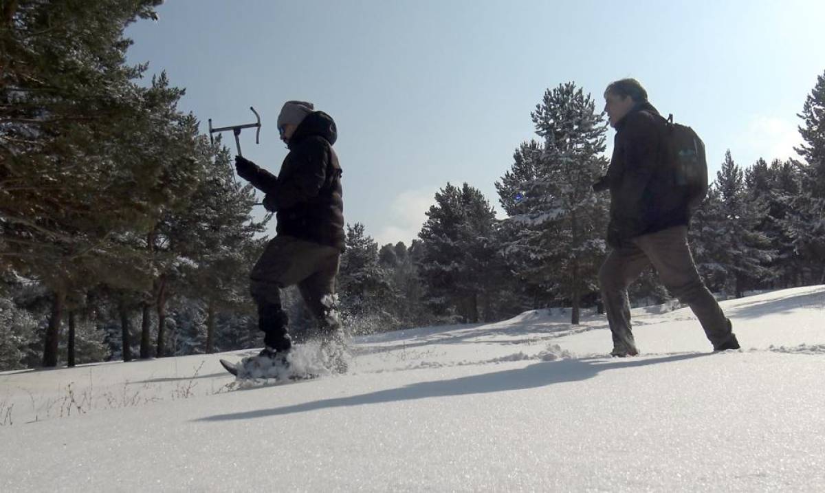 Kars'ın karlı dağlarında kurt sayısını tespit için iz sürüyorlar