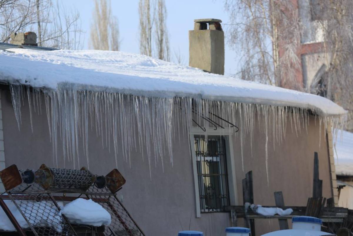 Ardahan'da dondurucu soğukların etkisi sürüyor