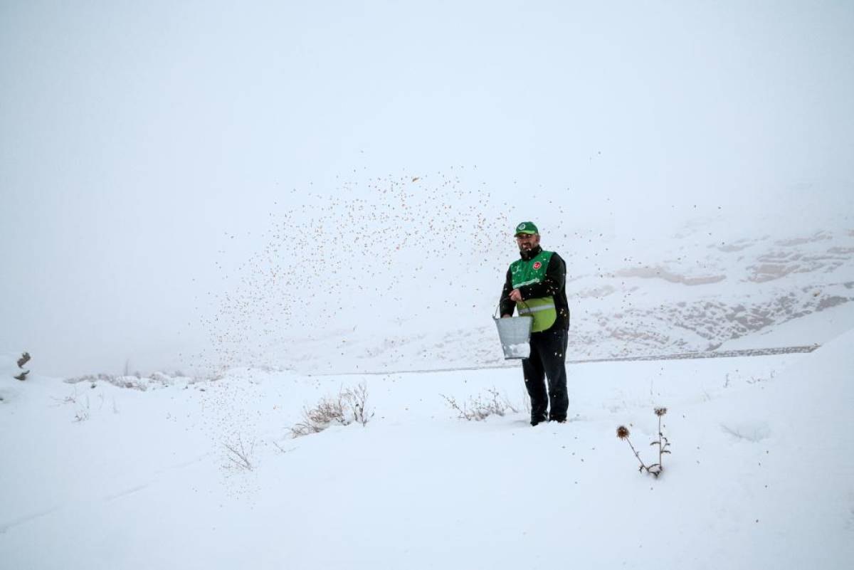 Malatya'da yaban hayvanları için doğaya yem bırakıldı