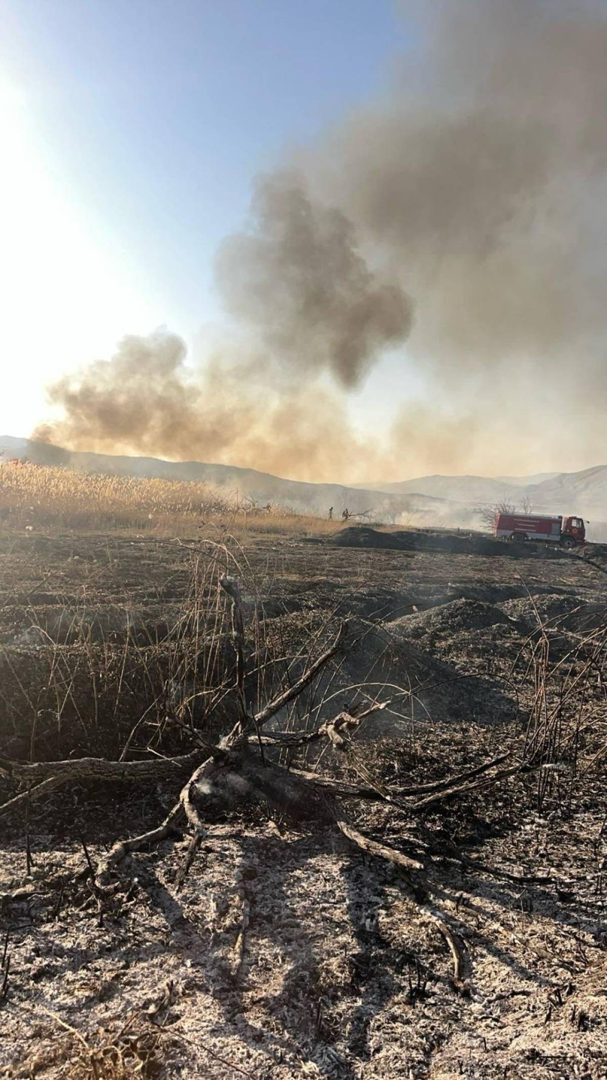 Malatya'da sazlık alanda çıkan yangın söndürüldü