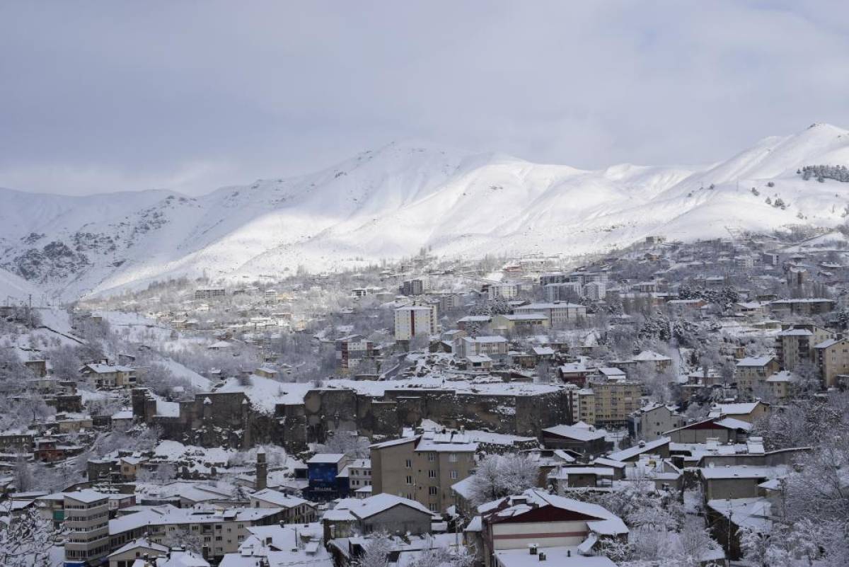 Van, Hakkari, Muş ve Bitlis'te 988 yerleşim yerine ulaşım sağlanamıyor