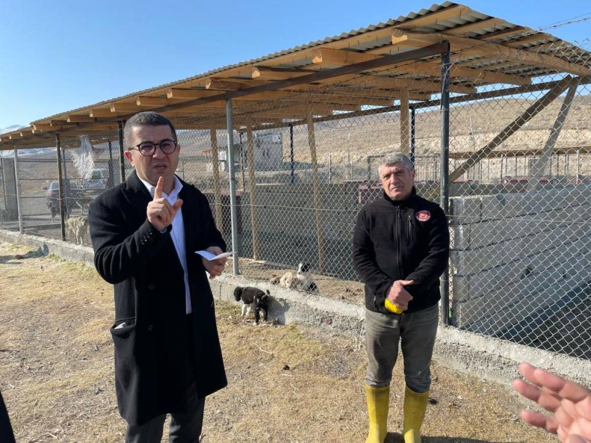 Kağızman Kaymakamı ve Belediye Başkan Vekili Daştan, hayvan barınağını inceledi