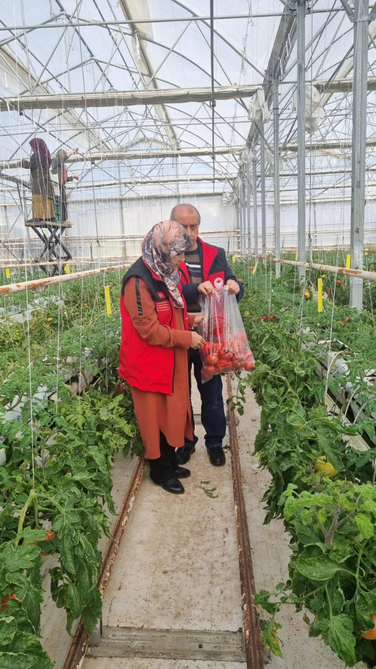 Şanlıurfa'da zirai ilaç kalıntısı denetimleri yapıldı