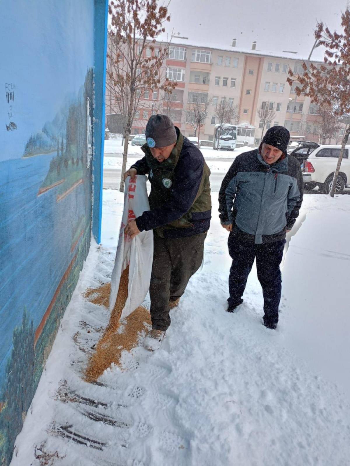 Karla kaplanan Erzurum'da kuşlar için doğaya yem bırakıldı