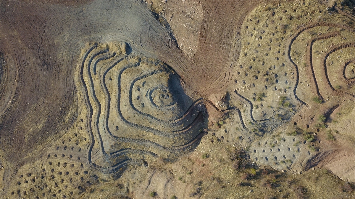 Siirt'te "sanat eseri titizliğinde" bal ormanı oluşturuldu
