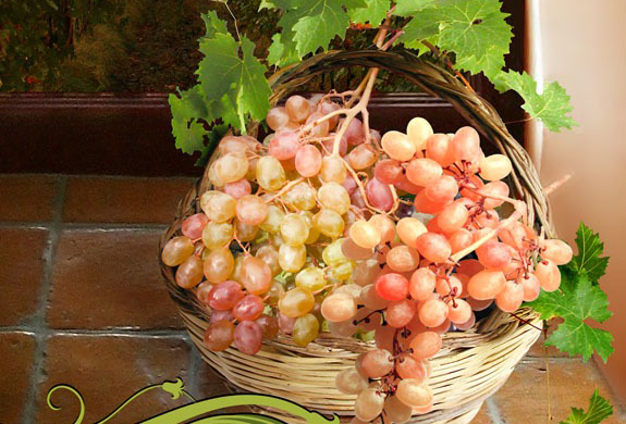 Tayfi üzümünün coğrafi işaret başvurusu kabul edildi