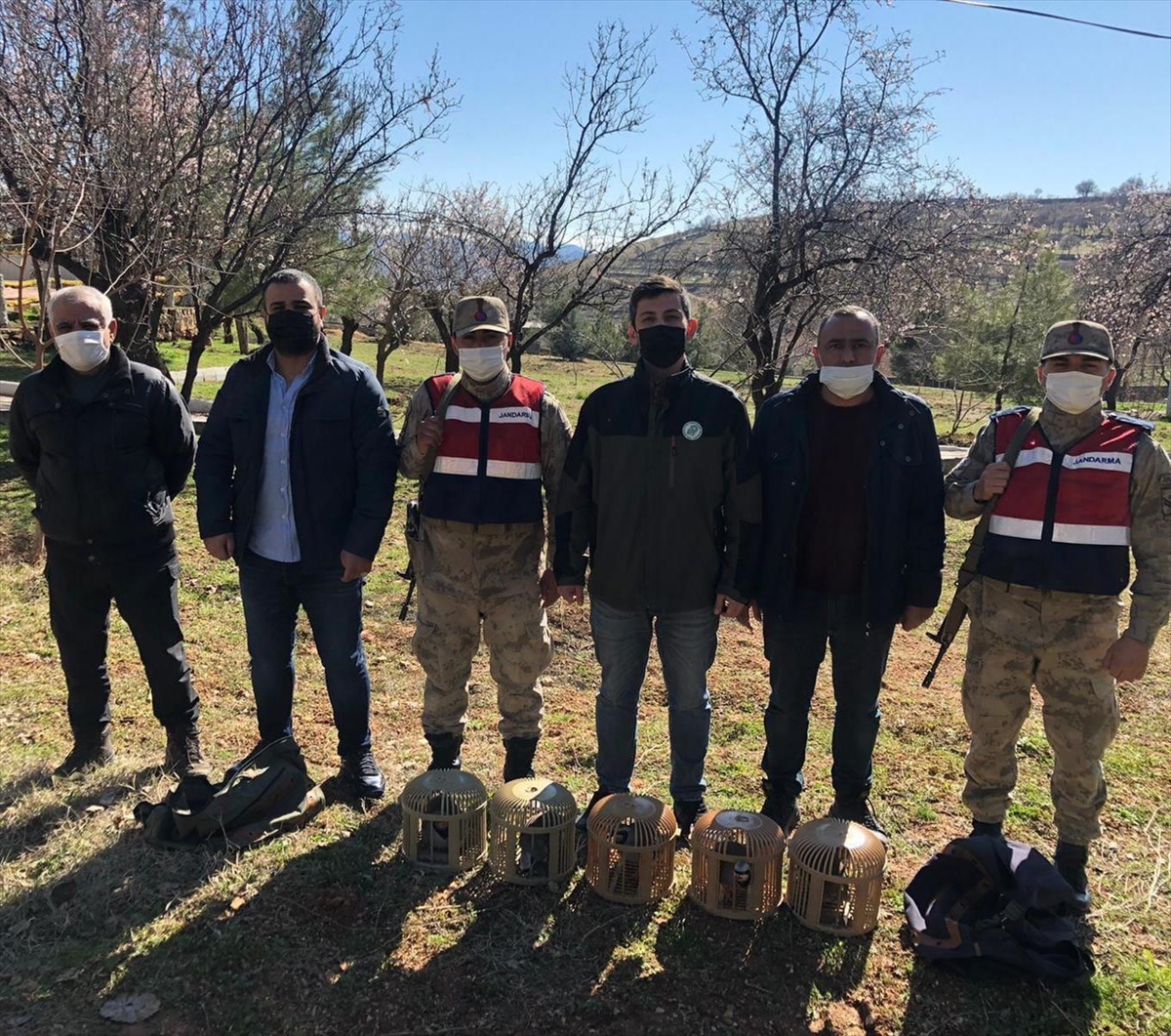 Ka&ccedil;ak avcılara idari para cezası kesildi