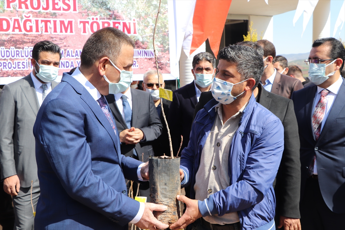 400 &uuml;reticiye fidan ve tohum desteği sağlandı