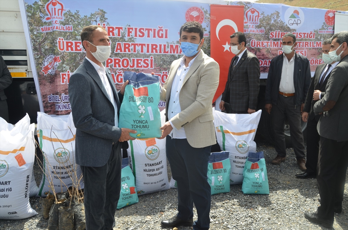 T&uuml;pl&uuml; bıttım fidanı ve yem bitkileri tohumu dağıtıldı