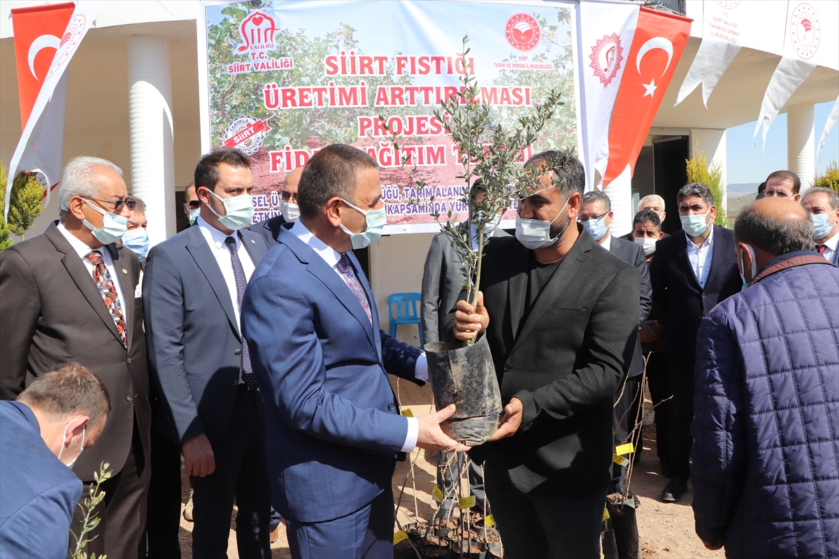 Siirt'te 101 bin t&uuml;pl&uuml; bıttım fidanı dağıtıldı