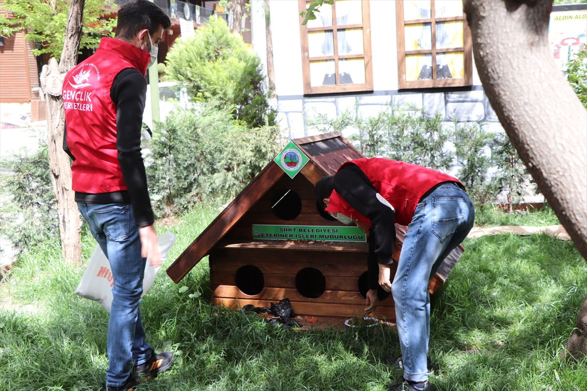 Siirt'te g&ouml;n&uuml;ll&uuml; gen&ccedil;ler, sokağa &ccedil;ıkma kısıtlamasında yiyecek bulmakta zorlanan hayvanları besledi