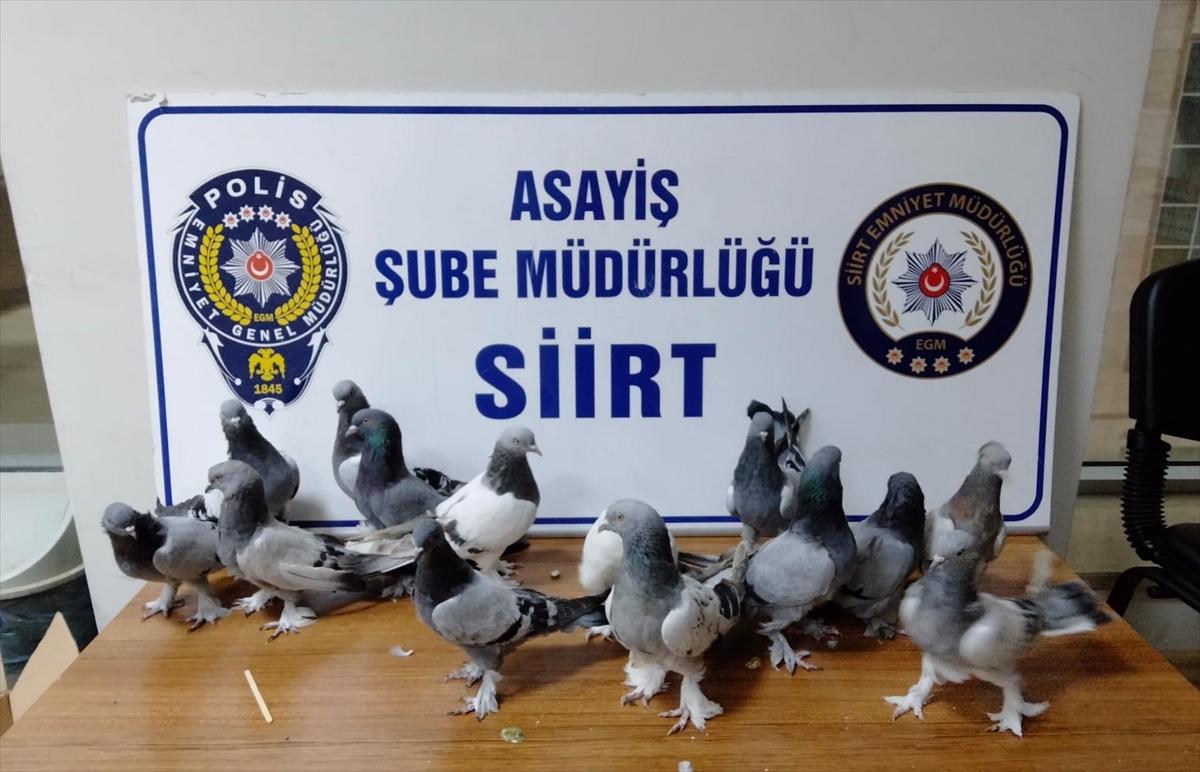 G&uuml;vercin hırsızlığı yaptığı gerek&ccedil;esiyle  bir kişi g&ouml;zaltına alındı