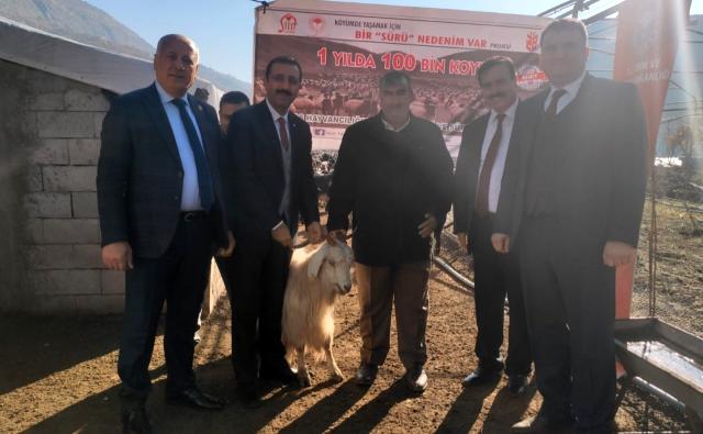 Yetiştiriciye k&uuml;&ccedil;&uuml;kbaş hayvan dağıtımı yapıldı
