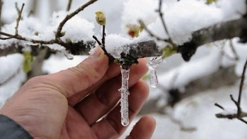 Siirt i&ccedil;in zirai don ve &ccedil;ığ uyarısı