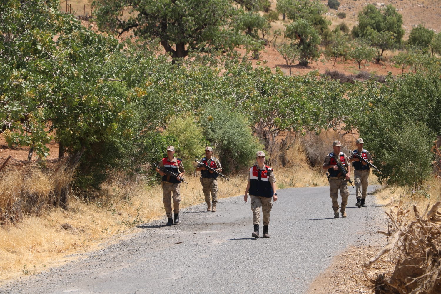 Jandarma fıstık hırsızlarına karşı devriye geziyor