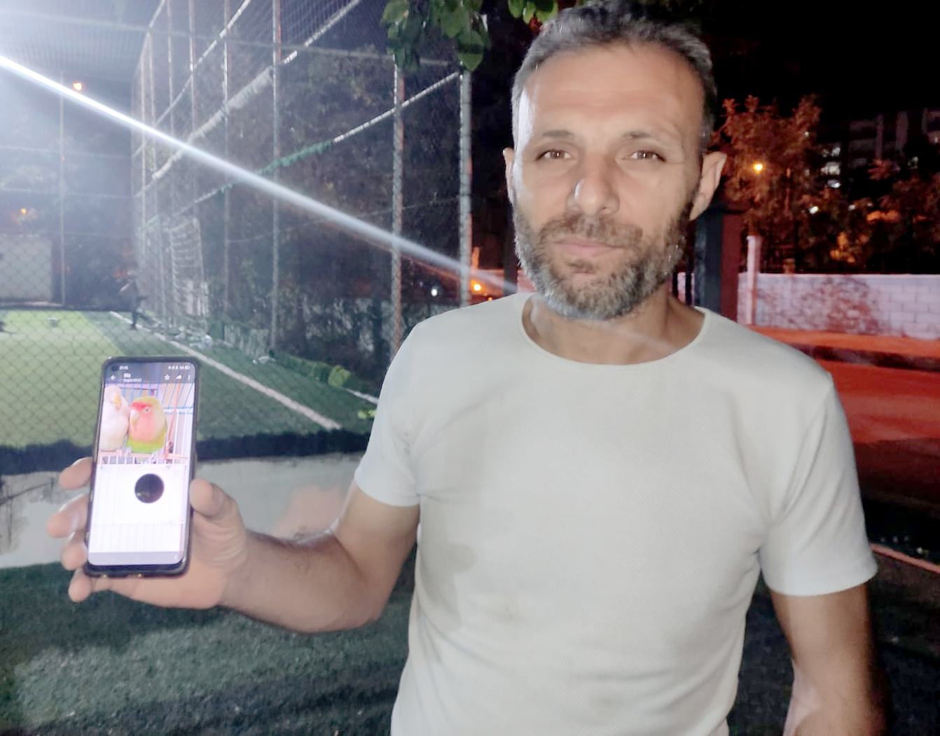 Kayıp Papağanını Arıyor