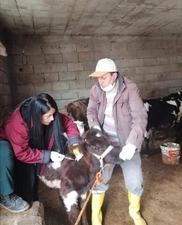 Siirt&rsquo;e hayvan giriş ve &ccedil;ıkışı yasaklandı