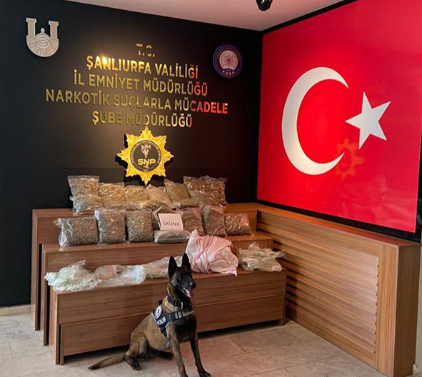 15 kilo 800 gram sentetik uyuşturucu ele ge&ccedil;irildi, 1 zanlı yakalandı