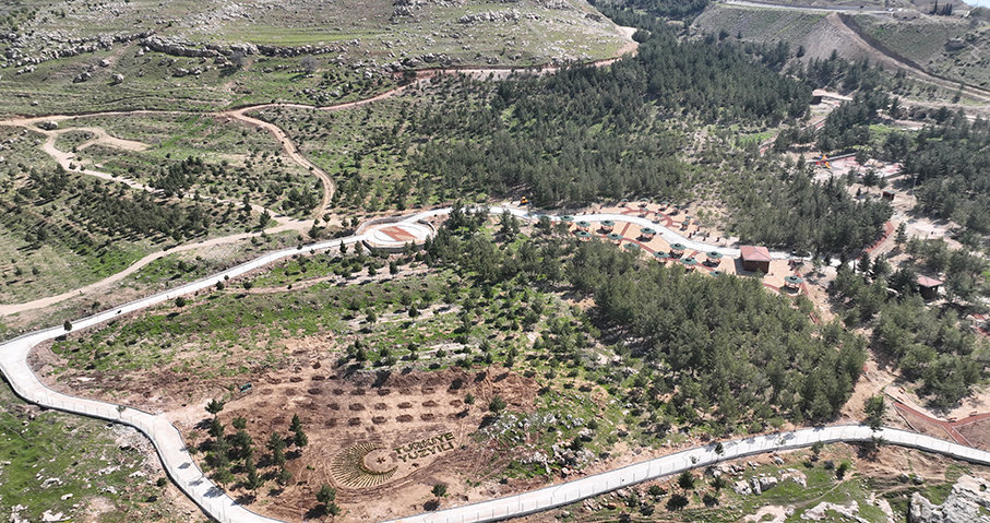 Mardin'de kurulan "millet ormanı"nın birinci etabı tamamlandı
