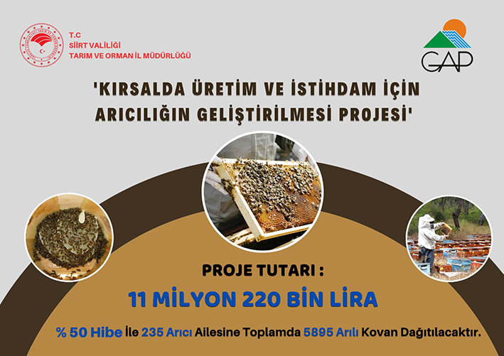 Y&uuml;zde 50 hibe ile arılı kovan dağıtımı yapılacak
