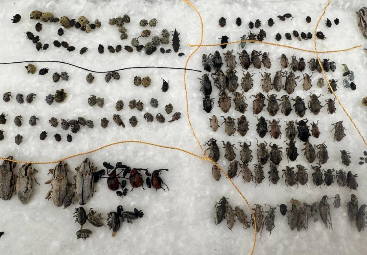 Erzurum'da bilim insanı, 25 yılda 75 türü simge isimlerle literatüre kazandırdı